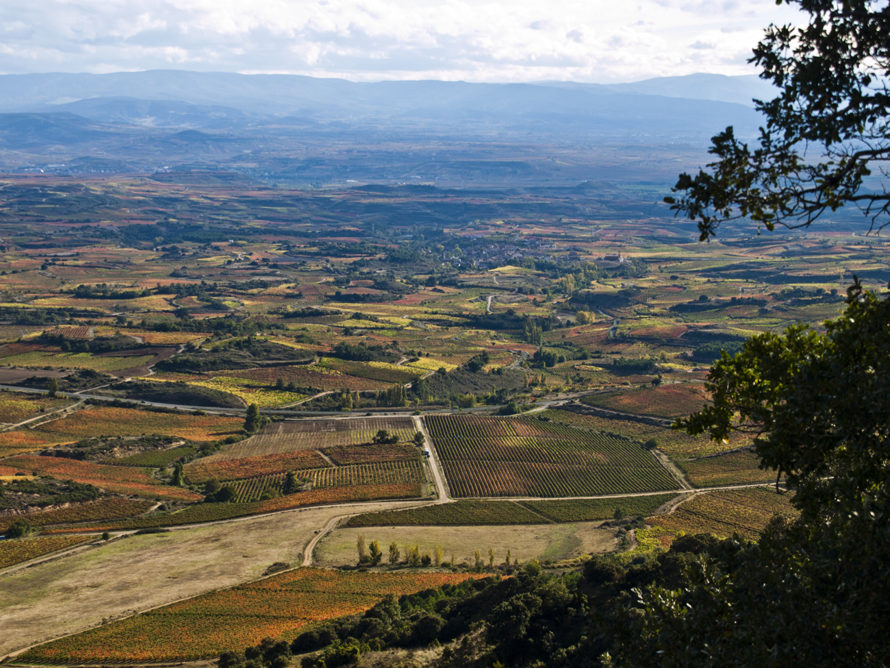Rioja Alavesa. Una de las siete Cuadrillas de Álava