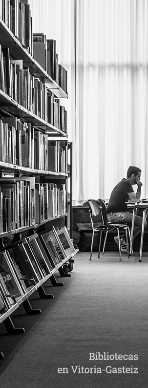 bibliotecas en vitoria